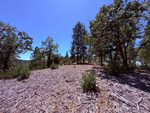 10 Big Oak Ct, Placerville, CA 95667 photo 8