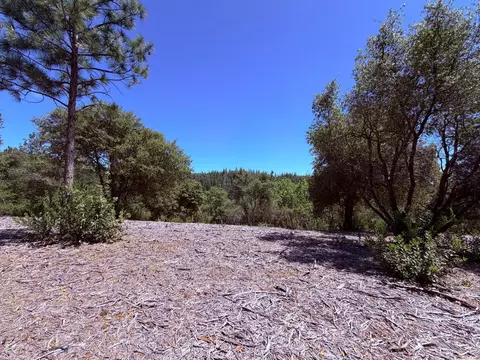 10 Big Oak Ct, Placerville, CA 95667 photo 1