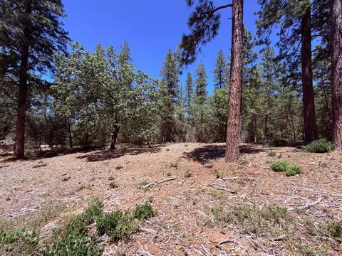 10 Big Oak Ct, Placerville, CA 95667 photo 26