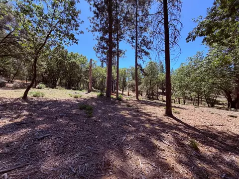 10 Big Oak Ct, Placerville, CA 95667 photo 24