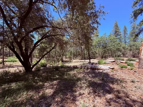 10 Big Oak Ct, Placerville, CA 95667 photo 21