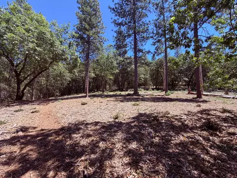 10 Big Oak Ct, Placerville, CA 95667 photo 23
