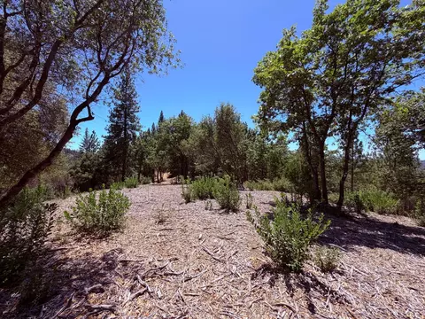 10 Big Oak Ct, Placerville, CA 95667 photo 5