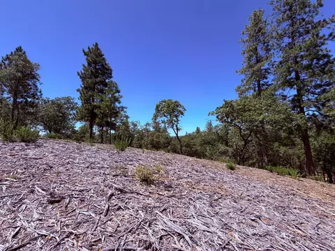 10 Big Oak Ct, Placerville, CA 95667 photo 9