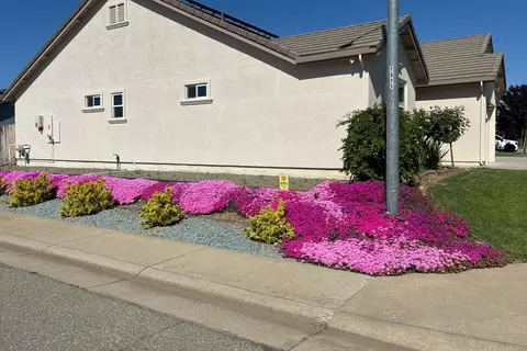 Exterior - 327 Manor Dr, Ione, CA 95640 photo 23 of 26