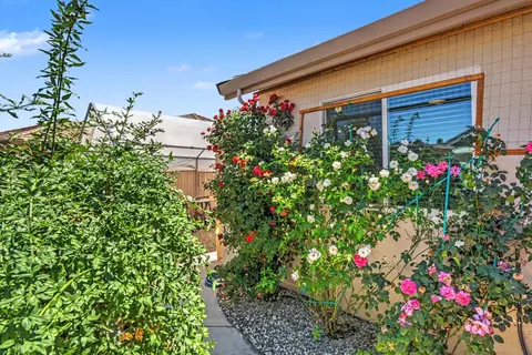 Exterior - 327 Manor Dr, Ione, CA 95640 photo 14 of 26