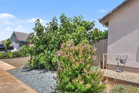 Exterior - 327 Manor Dr, Ione, CA 95640 photo 20 of 26