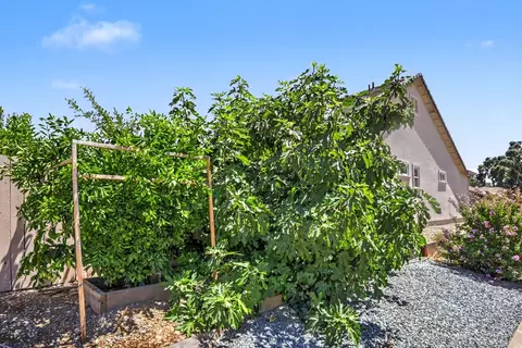 Exterior - 327 Manor Dr, Ione, CA 95640 photo 19 of 26