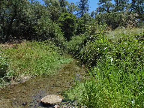 1148 Lotus Rd, Lotus, CA 95651