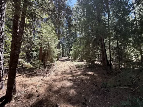 11250 Washington Rd, Nevada City, CA 95959
