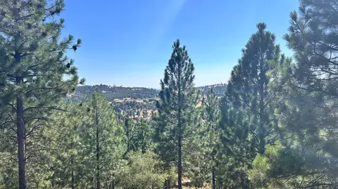773 Red Fox Rd, Mountain Ranch, CA 95246 photo 2