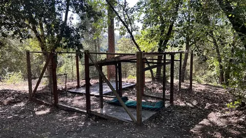 773 Red Fox Rd, Mountain Ranch, CA 95246 photo 21