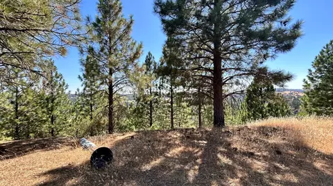 773 Red Fox Rd, Mountain Ranch, CA 95246 photo 3