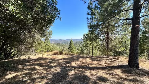 773 Red Fox Rd, Mountain Ranch, CA 95246 photo 4