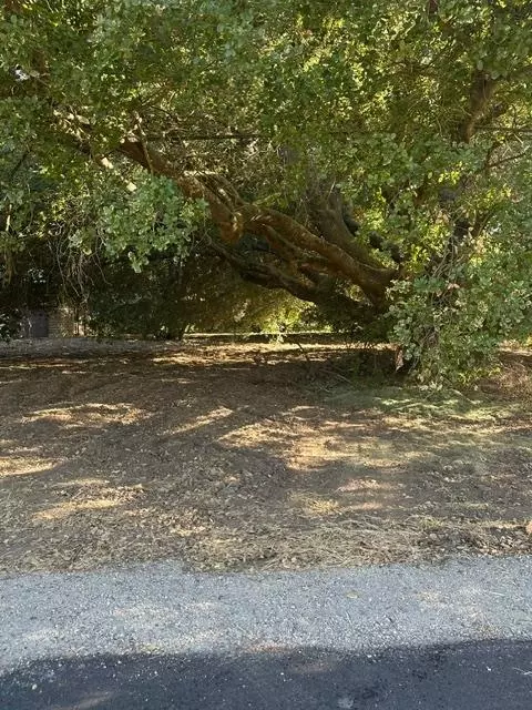 1180 E Woodbridge Rd, Woodbridge, CA 95258