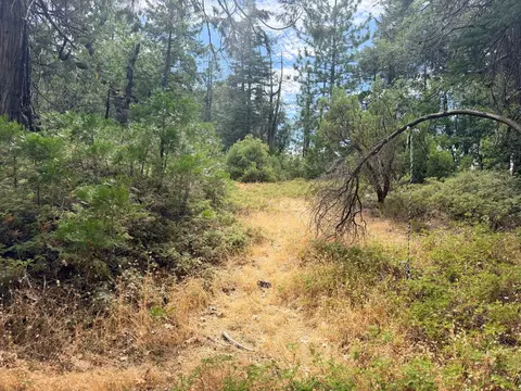 5 Debron Ct, Pollock Pines, CA 95726 photo 18