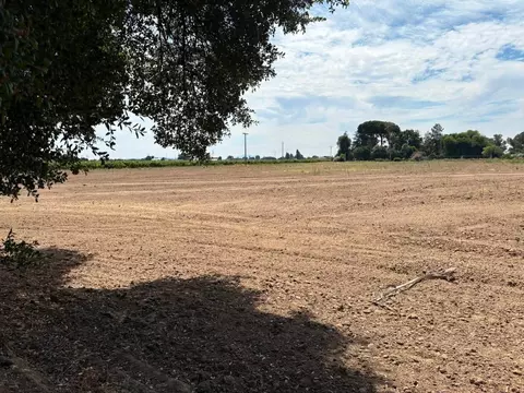 Other - 2283 Larson Rd, Lodi, CA 95242 photo 15 of 16