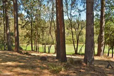 11425 Lower Circle Dr, Grass Valley, CA 95949 photo 4