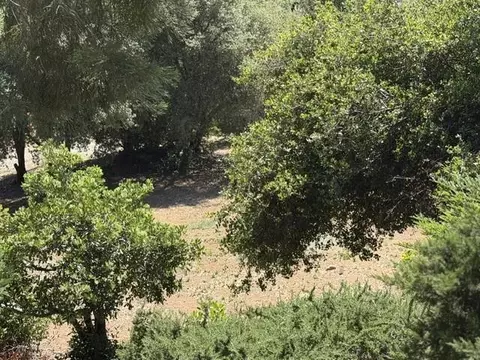 Exterior - 20888 Lyons Bald Mountian Rd, Sonora, CA 95370 photo 13 of 21