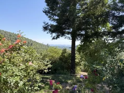 Exterior - 20888 Lyons Bald Mountian Rd, Sonora, CA 95370 photo 16 of 21