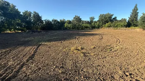 707 Justeson Ave, Gridley, CA 95948 photo 6