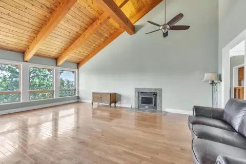 Living - 17534 Red Mule Rd, Fiddletown, CA 95629 photo 2 of 3