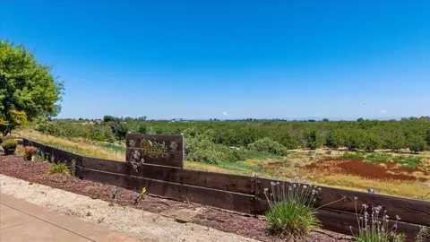 Exterior - 21992 Mcbride Rd, Escalon, CA 95320 photo 20 of 23