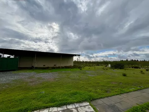 19081 E State Highway 120, Ripon, CA 95366 photo 7