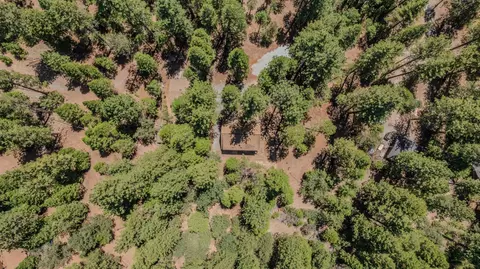 View/Area - 19720 Bear Ct, Volcano, CA 95689 photo 1 of 1