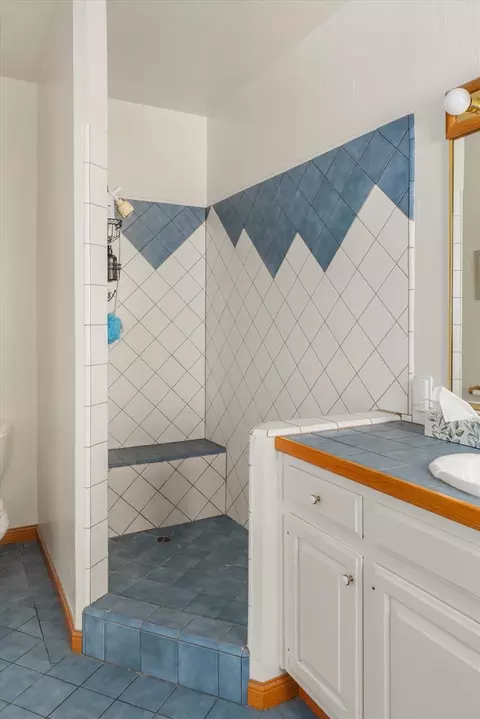 Bath - 791 Buckthorn Dr, Murphys, CA 95247 photo 5 of 6