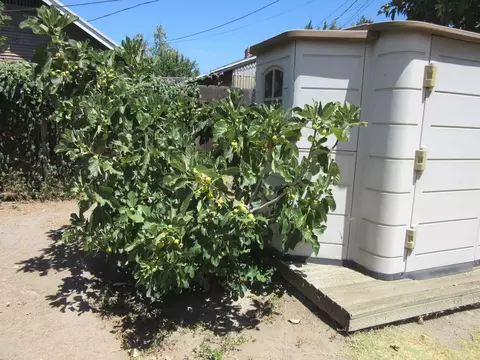 Exterior - 61 Ellis St, Stockton, CA 95204 photo 7 of 8