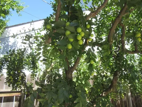 Other - 61 Ellis St, Stockton, CA 95204 photo 10 of 11