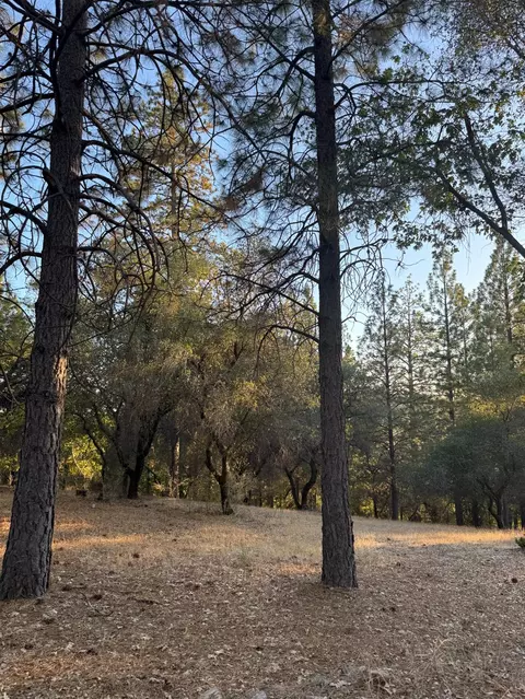 Exterior - 18060 Burgen Dr, Applegate, CA 95703 photo 4 of 7