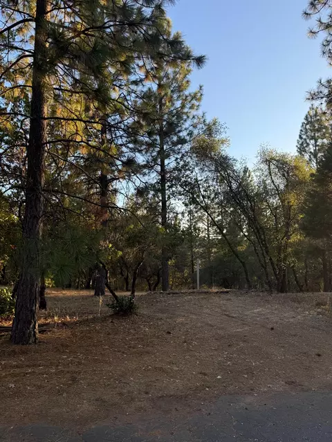 Other - 18060 Burgen Dr, Applegate, CA 95703 photo 7 of 7