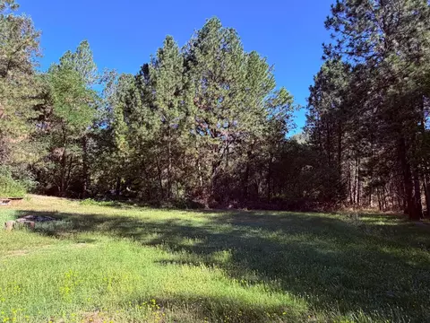 Exterior - 5689 Bucks Bar Rd, Placerville, CA 95667 photo 9 of 13