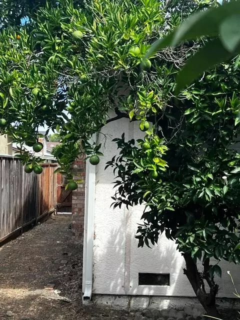 Exterior - 2126 Fox Way, Concord, CA 94518 photo 3 of 7