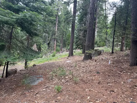803 Wikami Way, Dorrington, CA 95223 photo 14