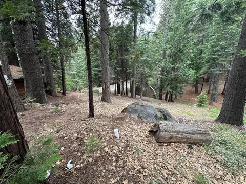 803 Wikami Way, Dorrington, CA 95223 photo 13