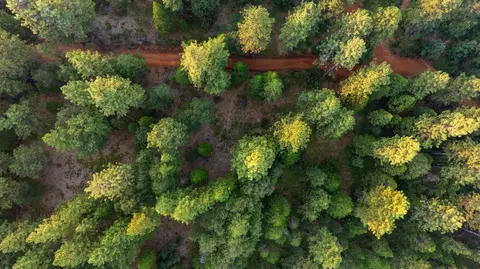 10780 E Bennett Rd, Grass Valley, CA 95945 photo 18