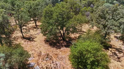 12877 Danzer Pl, Grass Valley, CA 95949 photo 33