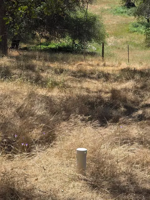 12877 Danzer Pl, Grass Valley, CA 95949 photo 43