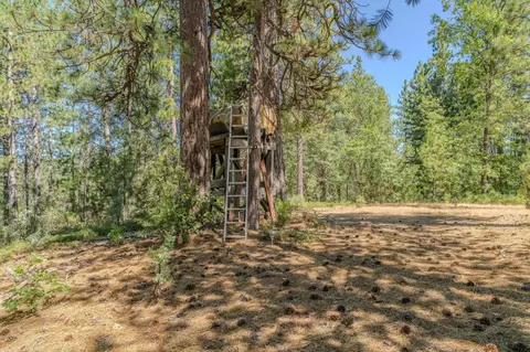 Exterior - 15736 Armstrong Rd, Sheep Ranch, CA 95246 photo 17 of 28