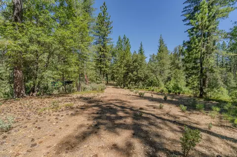 Exterior - 15736 Armstrong Rd, Sheep Ranch, CA 95246 photo 21 of 28