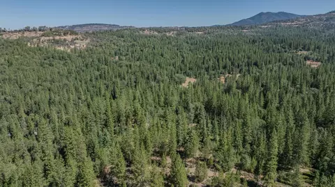 View/Area - 15736 Armstrong Rd, Sheep Ranch, CA 95246 photo 4 of 4
