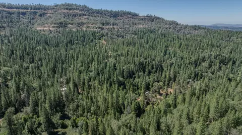 View/Area - 15736 Armstrong Rd, Sheep Ranch, CA 95246 photo 3 of 4