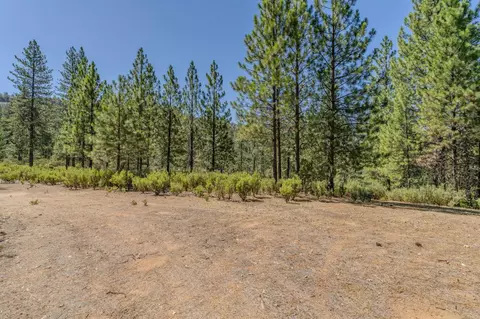 Exterior - 15736 Armstrong Rd, Sheep Ranch, CA 95246 photo 22 of 28