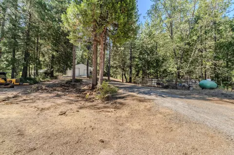 Exterior - 15736 Armstrong Rd, Sheep Ranch, CA 95246 photo 8 of 28