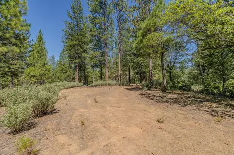 Exterior - 15736 Armstrong Rd, Sheep Ranch, CA 95246 photo 23 of 28