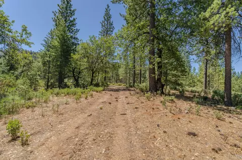 Other - 15736 Armstrong Rd, Sheep Ranch, CA 95246 photo 19 of 25