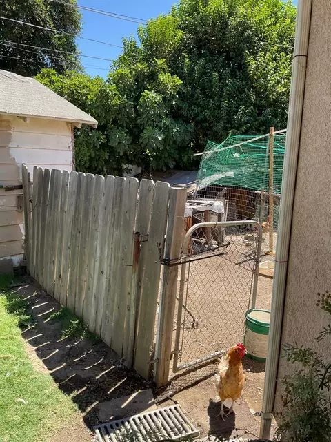 Exterior - 303 Plainsburg Rd, Planada, CA 95365 photo 21 of 46